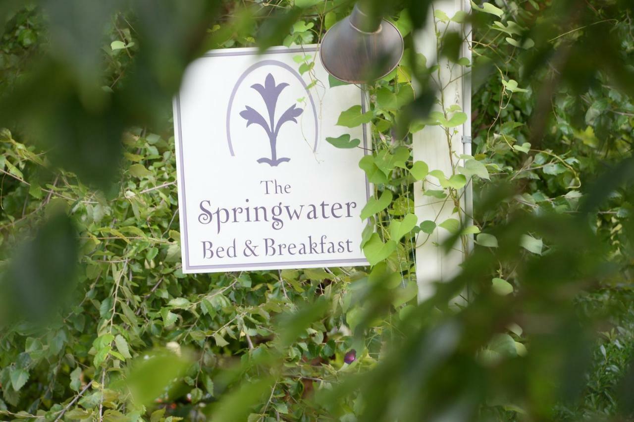 The Springwater Bed And Breakfast Saratoga Springs Kültér fotó