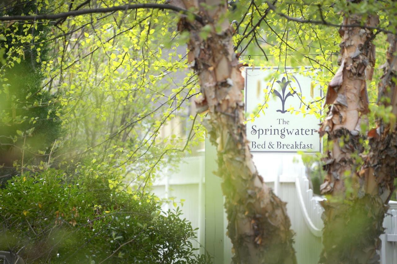 The Springwater Bed And Breakfast Saratoga Springs Kültér fotó